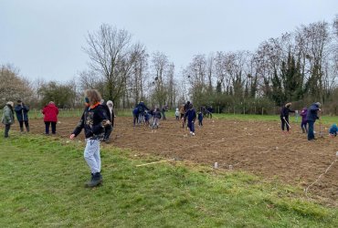 DU BLÉ AU PAIN : LE SEMIS